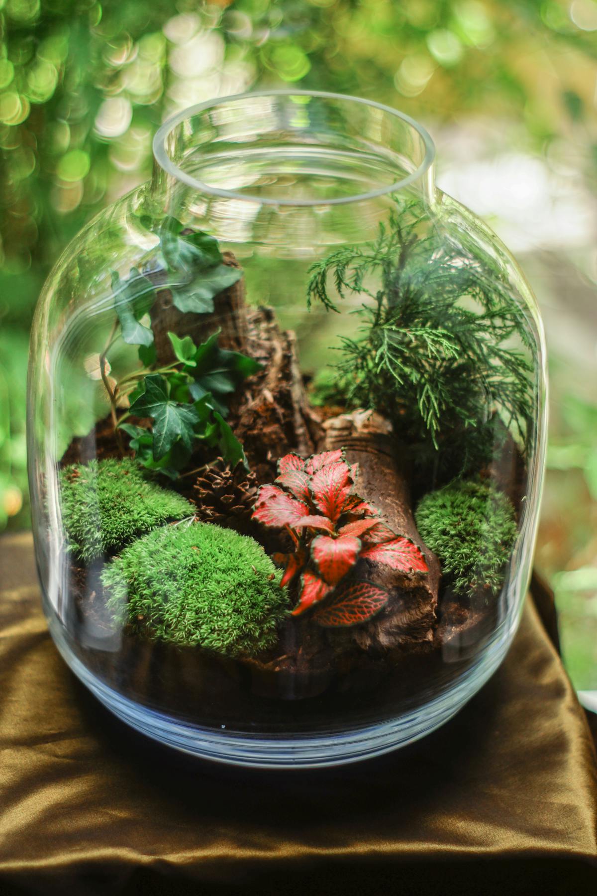 Succulent